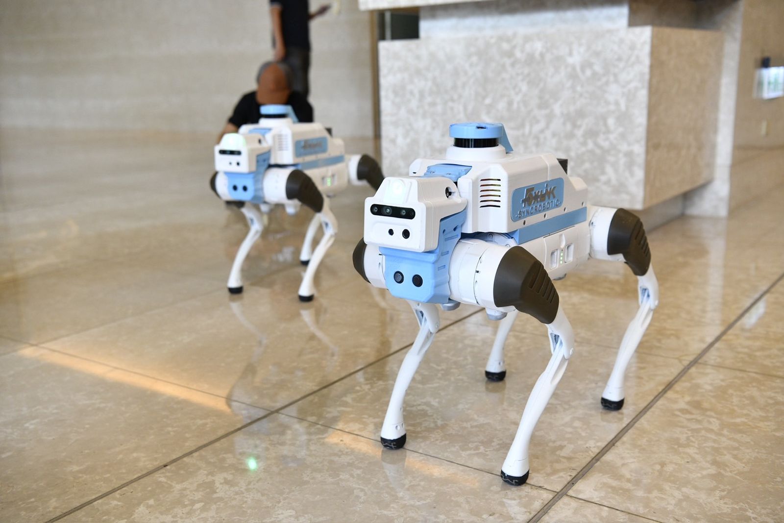 正崴機器狗吸睛！集團接班人郭守富太太好想要