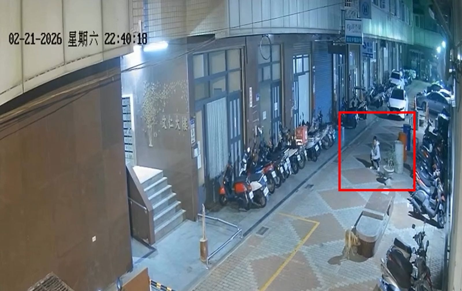 嘉義男酒後不開心「竟從5樓丟狗」!誘拐畫面全曝光…被抓還詭辯:你們先不要生氣