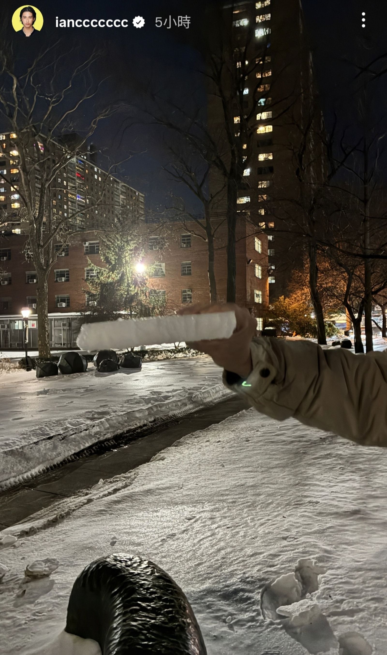 魏如萱的男友lan今在限動分享雪地風景照。翻攝ianccccccc IG限動