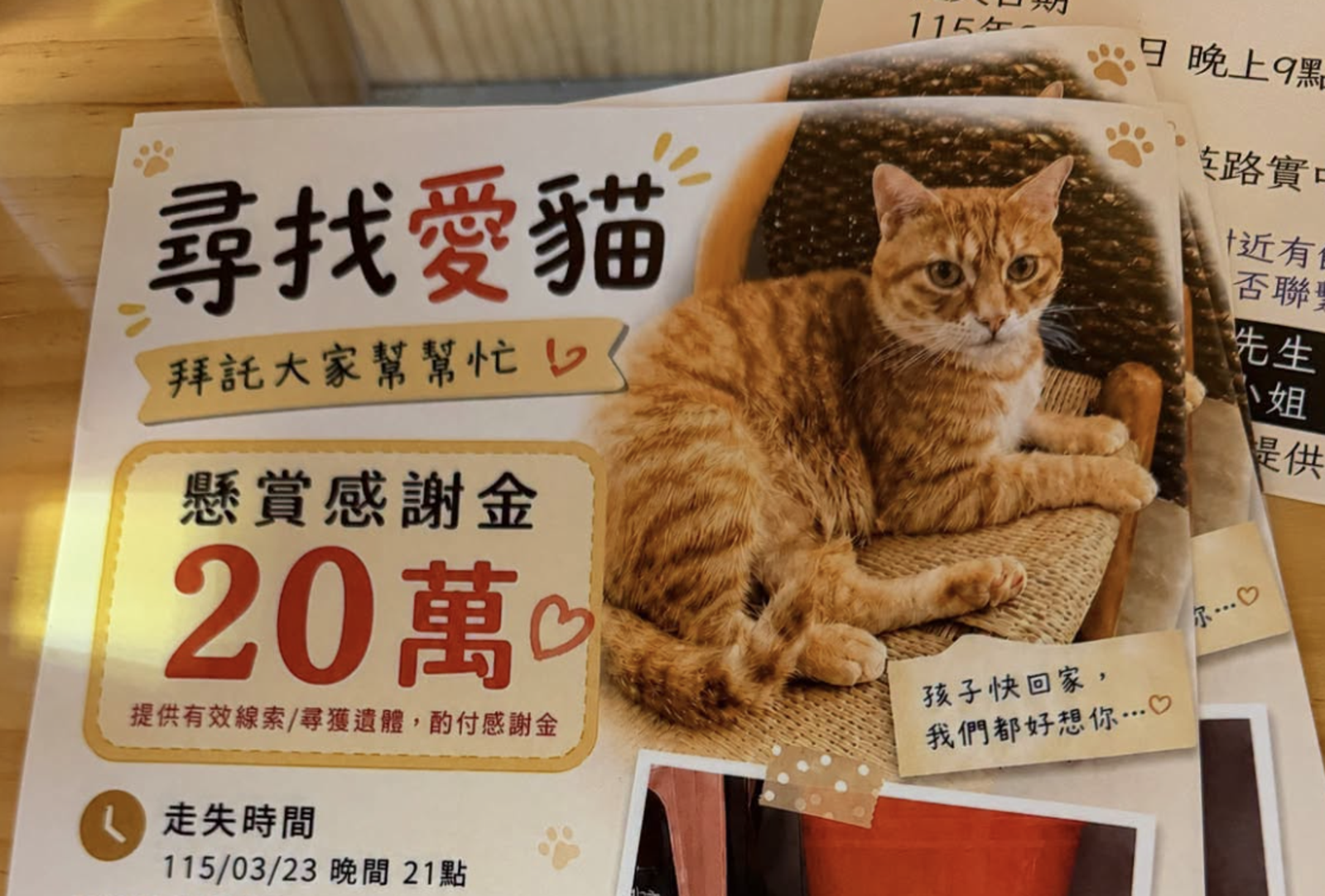 橘貓「阿咪」離家出走138天!飼主加碼懸賞金20萬...淚喊:拜託大家幫幫忙