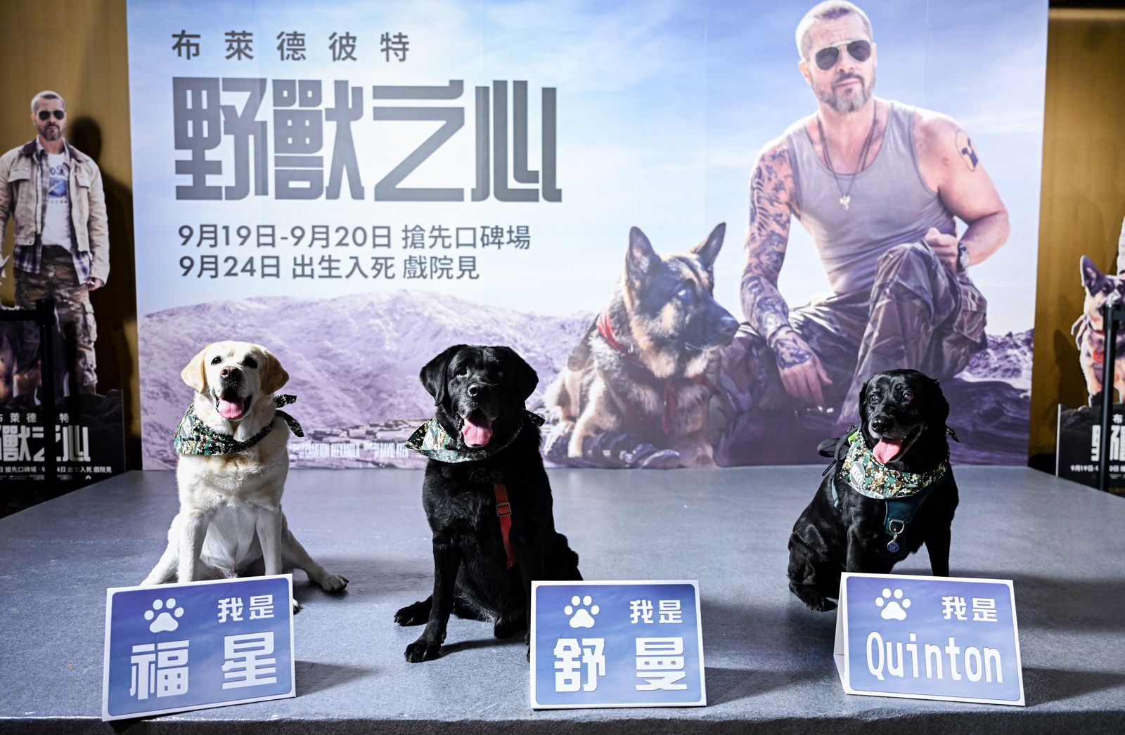 紅到國外的呆萌神犬來了!全台唯一血跡偵蒐犬退役現身 助陣布萊德彼特新片首映