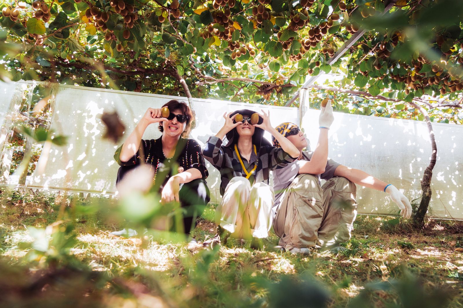 陳柏霖(左起)、桂綸鎂、黃宣很開心摘了一堆奇異果。出去一下提供