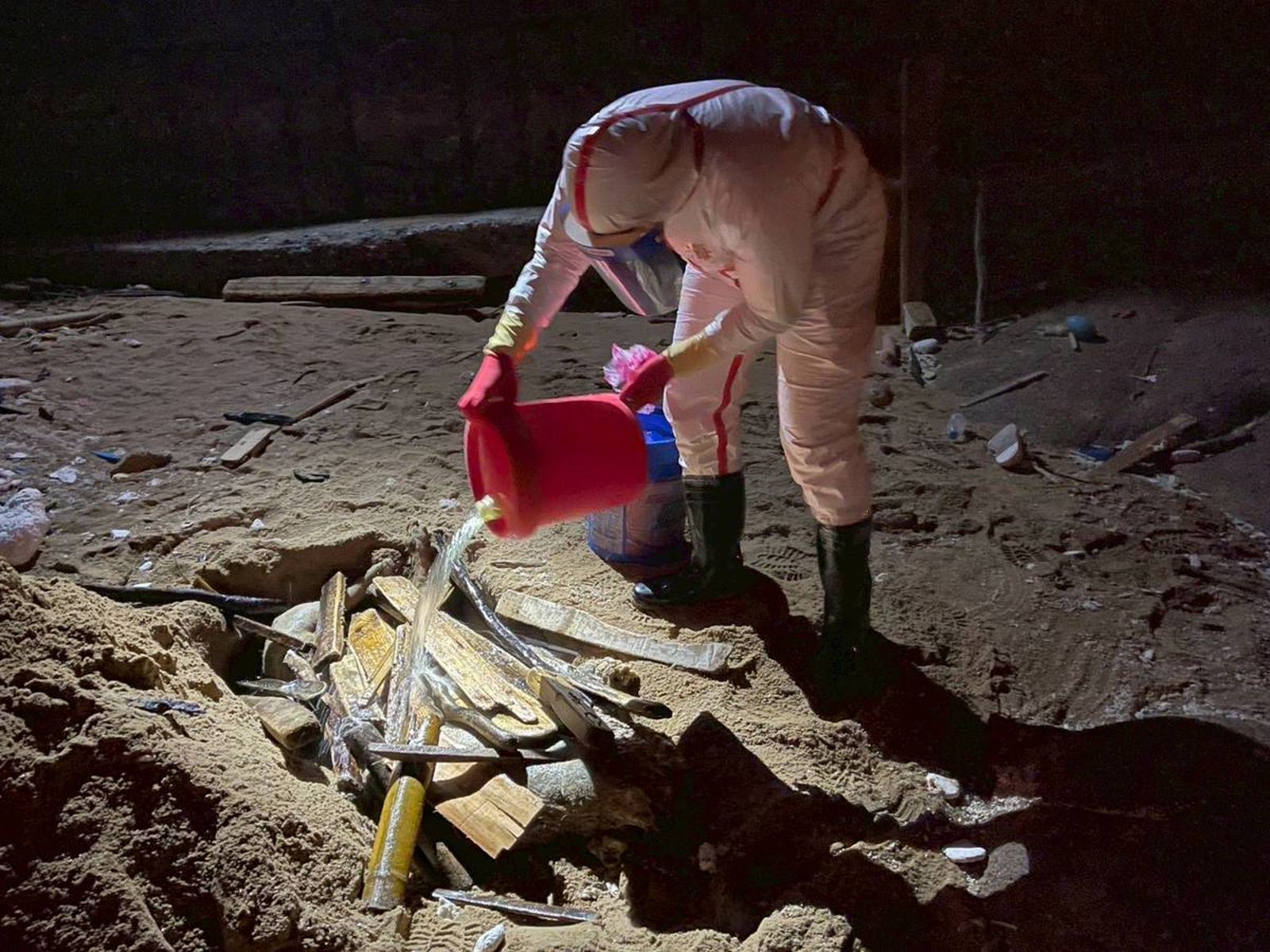 海巡署金馬澎分署馬祖岸巡隊昨接獲通報,馬祖北竿芹壁沙灘發現疑似死亡豬隻,便立即調派巡邏人員前往應處封鎖管制。(圖/海巡署提供)