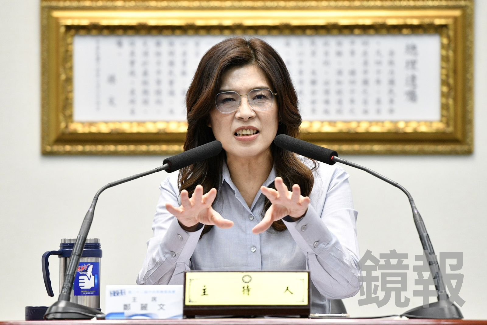 鄭任汶專欄:猛誇習近平的鄭麗文正在「館長化」