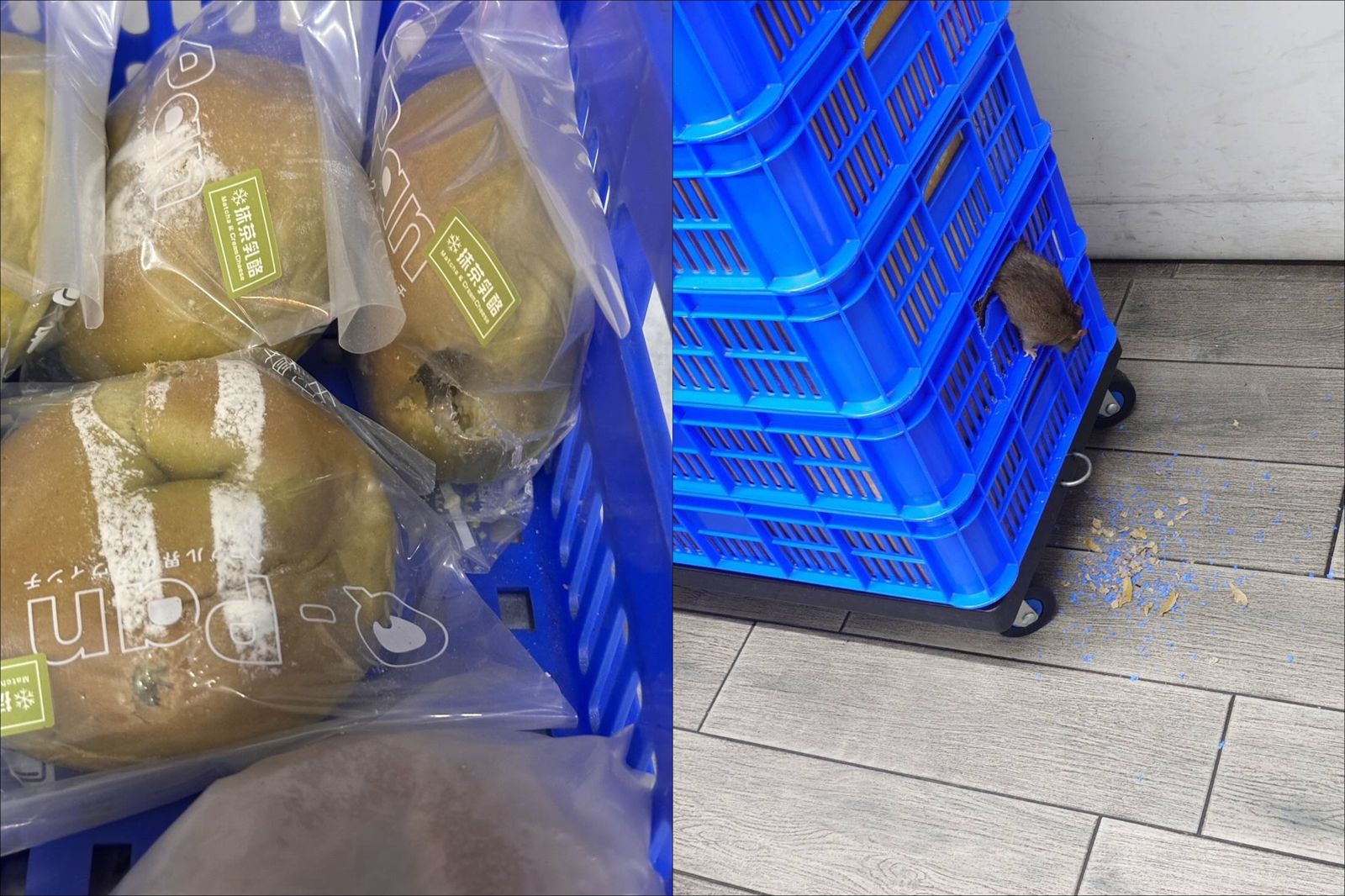 台南貝果名店翻車!前員工揭「老鼠狂啃麵包」還用黑心原料…業者回應遭衛生局打臉