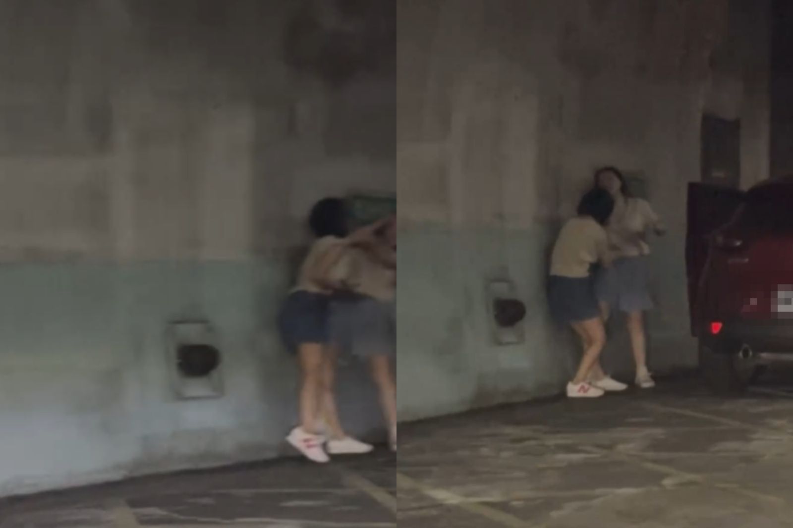 雪隧上演全武行！2女下車「巴頭、抓臉」　火爆畫面曝光