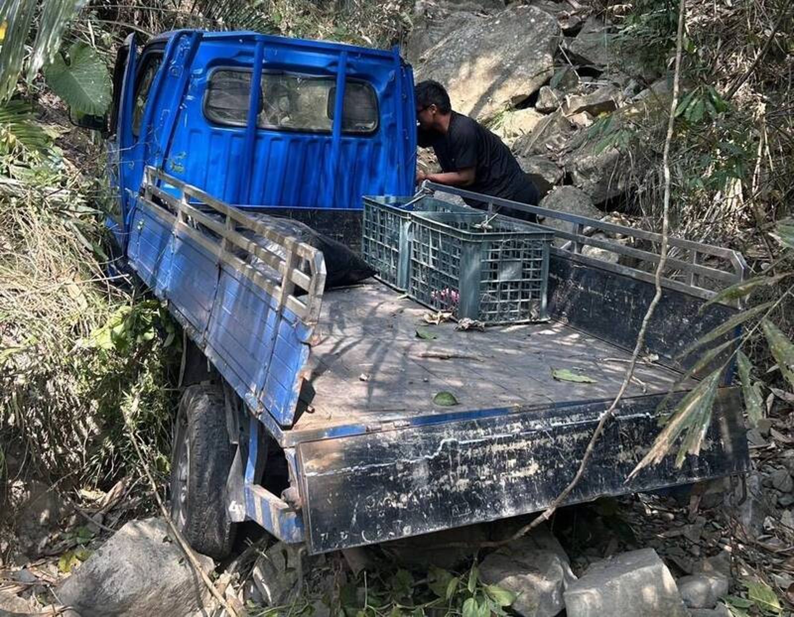 嘉義阿里山60歲婦人開車墜落20米深谷 警民動員LINE群組成功救援