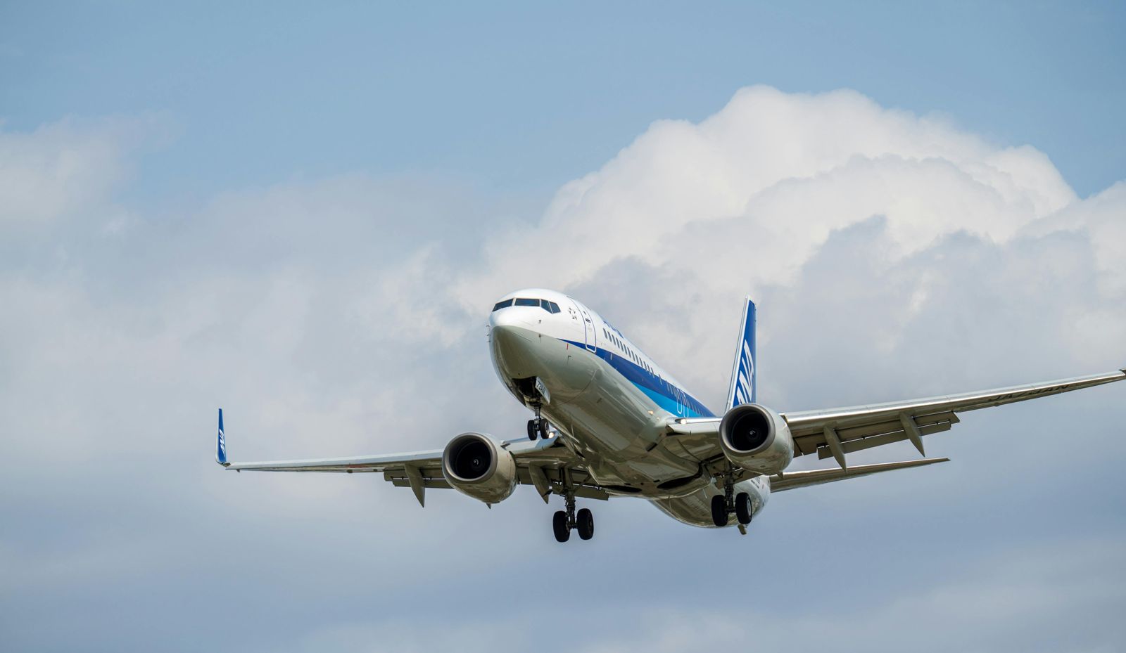 燃油附加費調漲！航空業「票價調漲40%」還撐不住　這家航班大砍一半