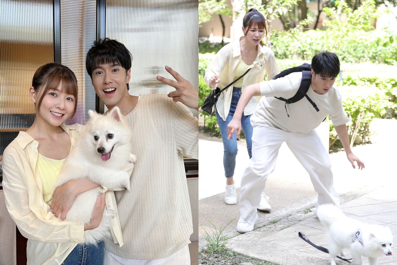 邊愛狗邊放電　《好運來》新CP謝京穎、洪浩竣災難邂逅