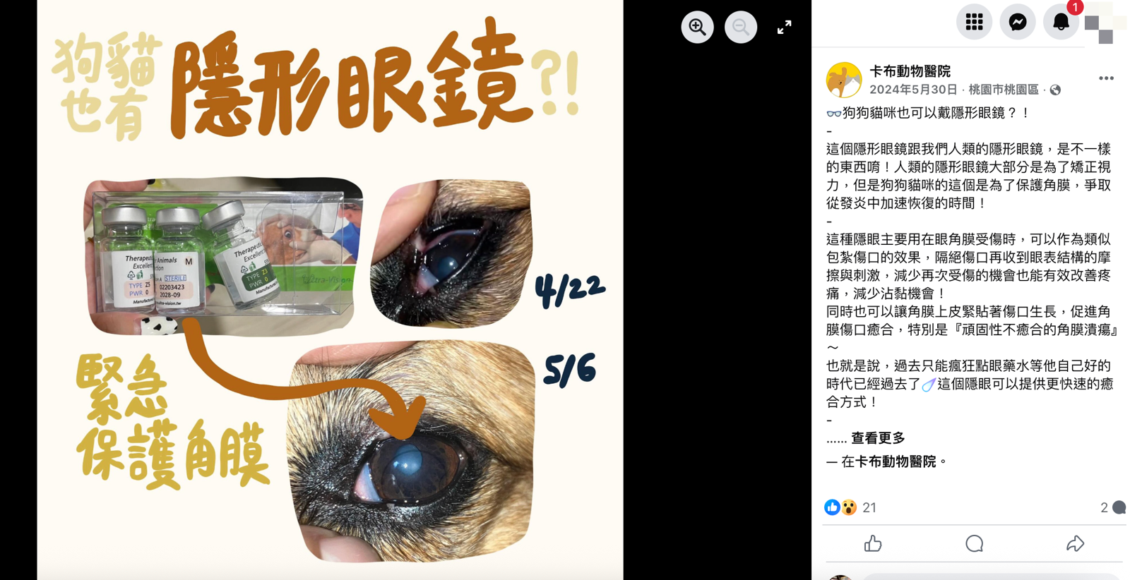 獸醫表示寵物配戴「隱形眼鏡」是為了讓角膜能快速恢復。圖／翻攝自微博