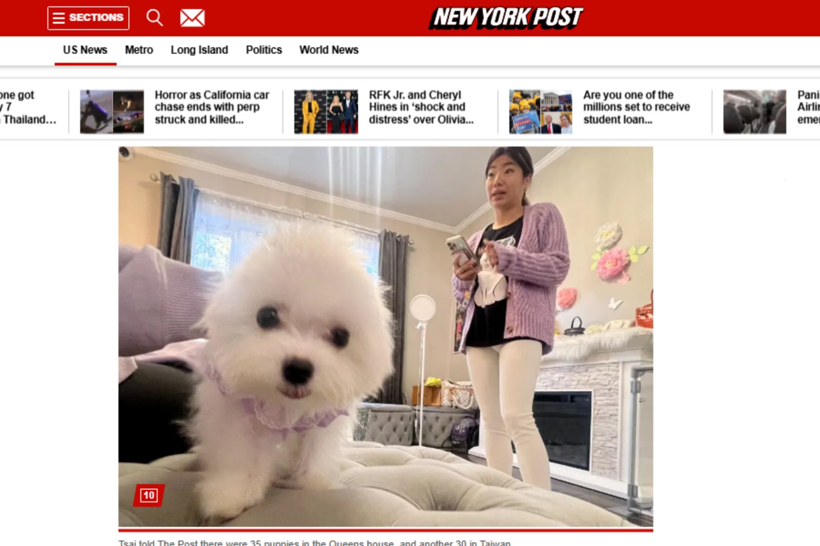 台女在美國非法賣狗!「鎮店之寶」竟喊價117萬 自豪賣出600多隻