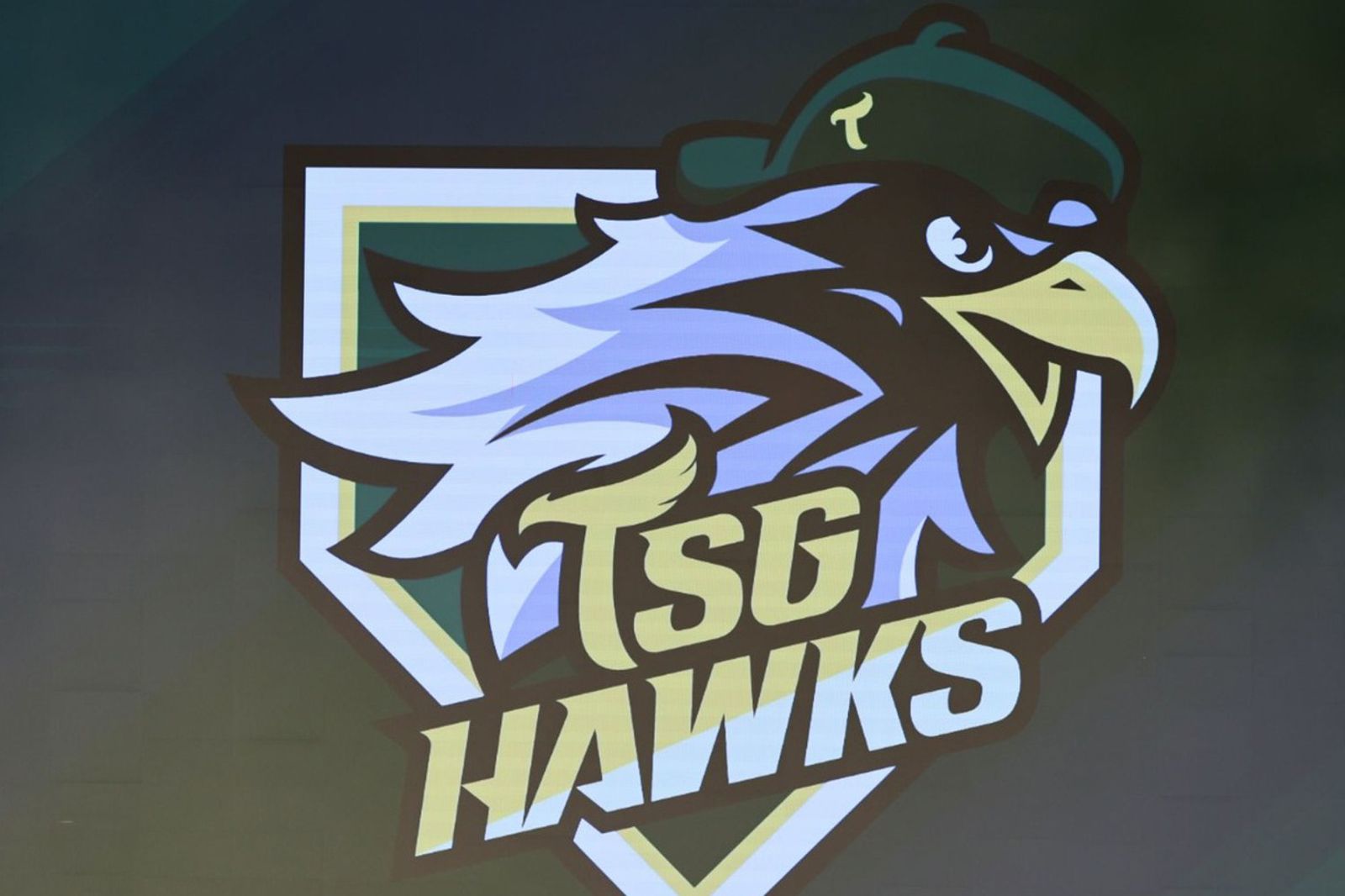 中職／楊柳颱風影響　台鋼雄鷹、統一獅今皆留宿北部避險