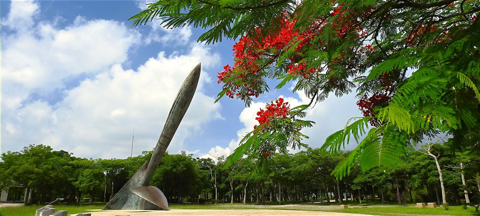散步驚見「草叢不平坦」！台中都會公園旁驚現恐怖白骨　身份曝光已失蹤4個月