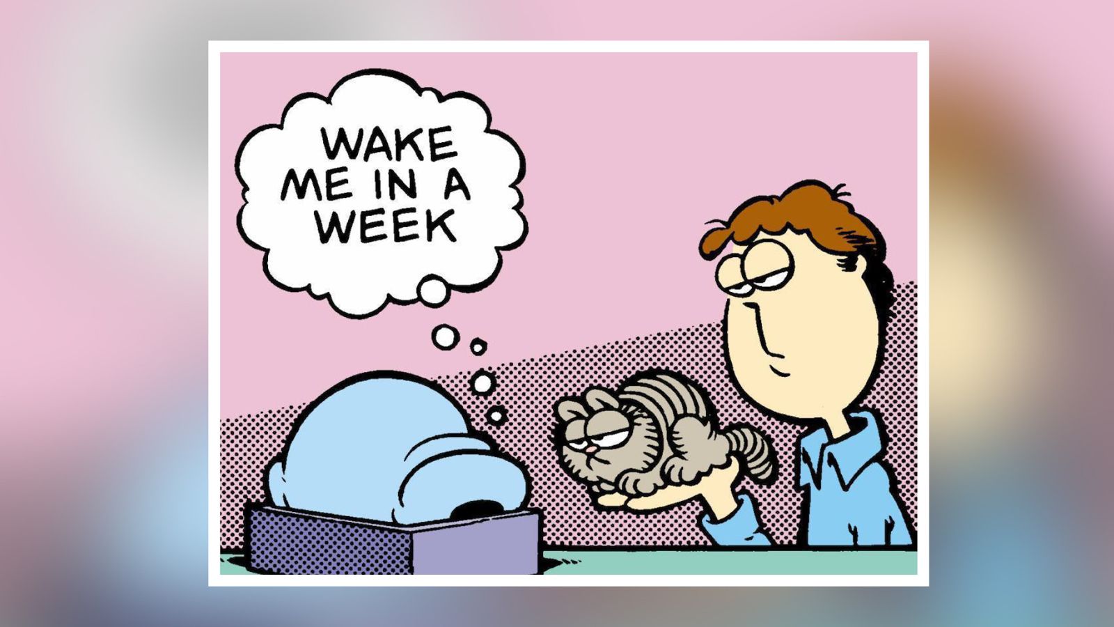 今天啥日|6/19 加菲貓日 漫畫家筆下的橘貓傳奇