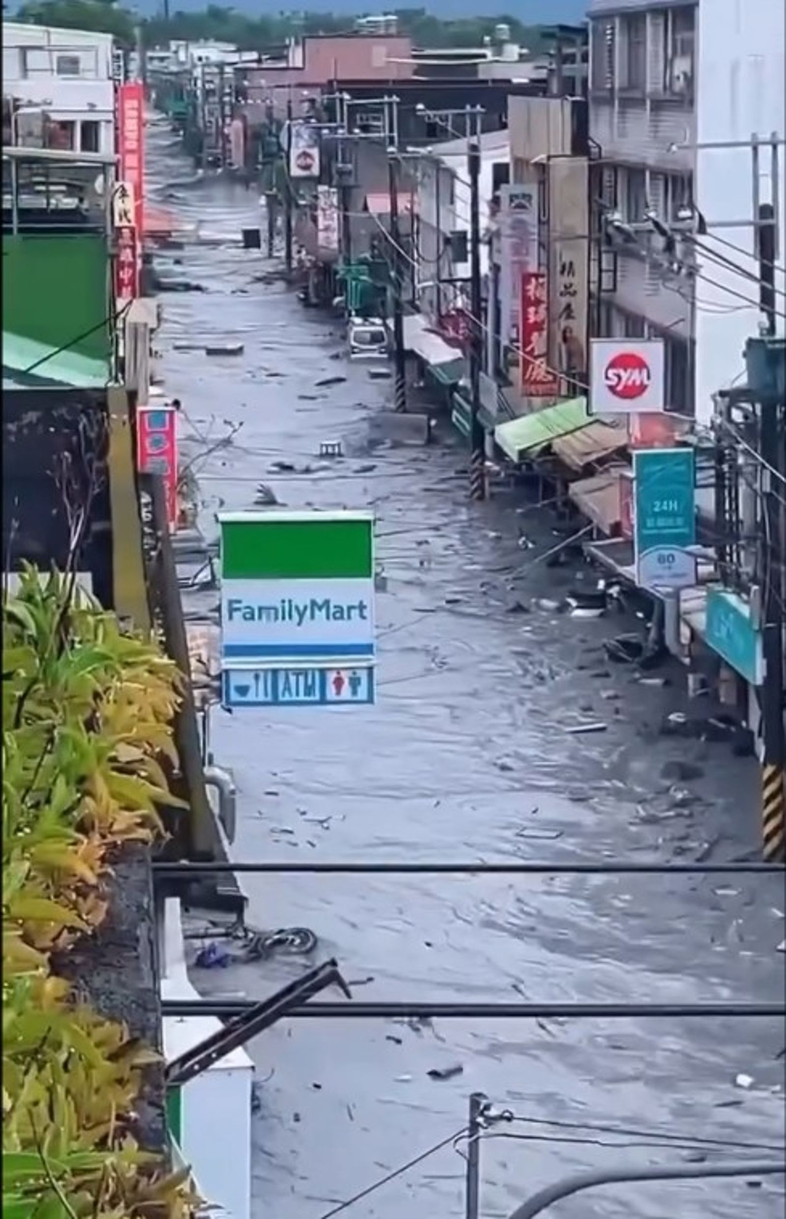 圖／Thread網友mashaowang授權提供