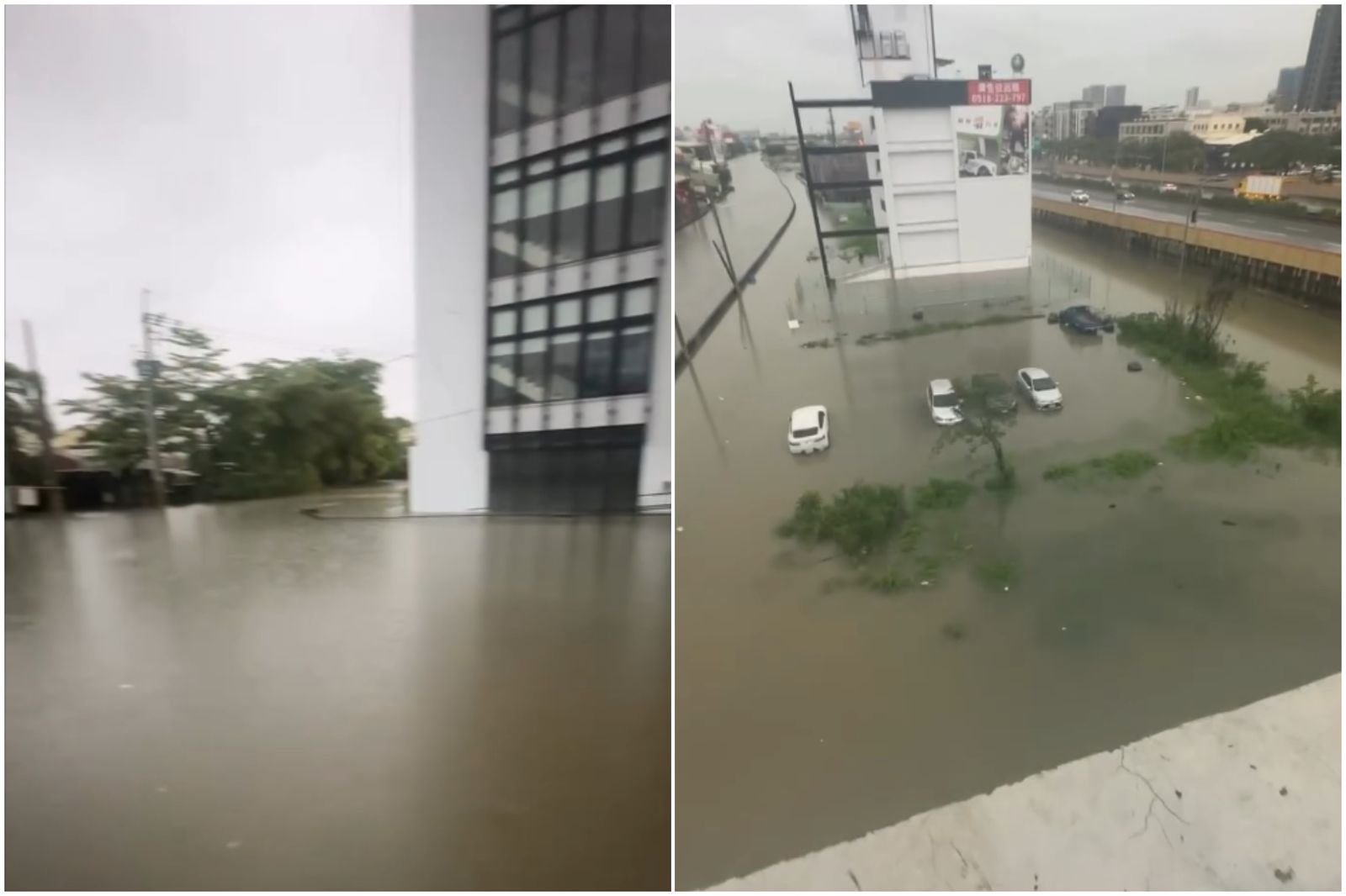 台南連2天大雨狂炸! 積水超嚴重:狗狗爬上狗屋避難、烏龜可在家裡游泳