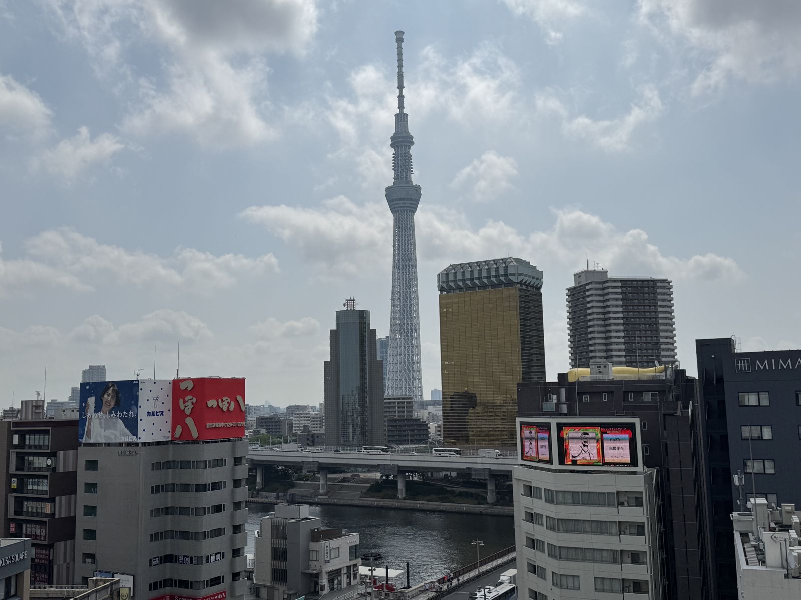 日本飆高溫還帶幼童逛街!他目擊台灣家長「超扯舉動」傻眼...網嘆:大家一起痛苦