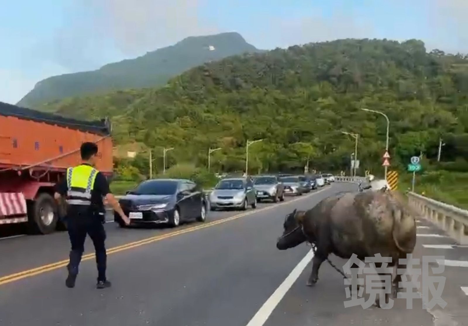 為防止水牛受到驚嚇亂竄,警員在場設法引導水牛回到草地上。翻攝畫面