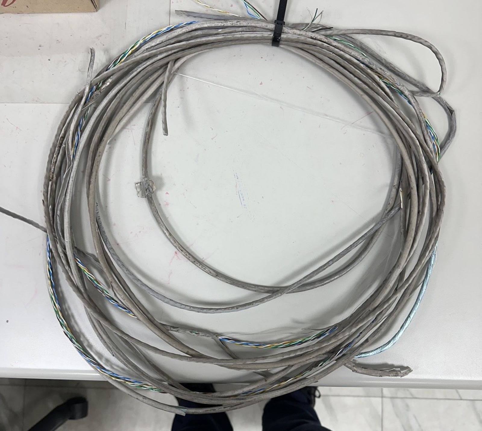 警方將肇事電線帶回派出所。翻攝畫面