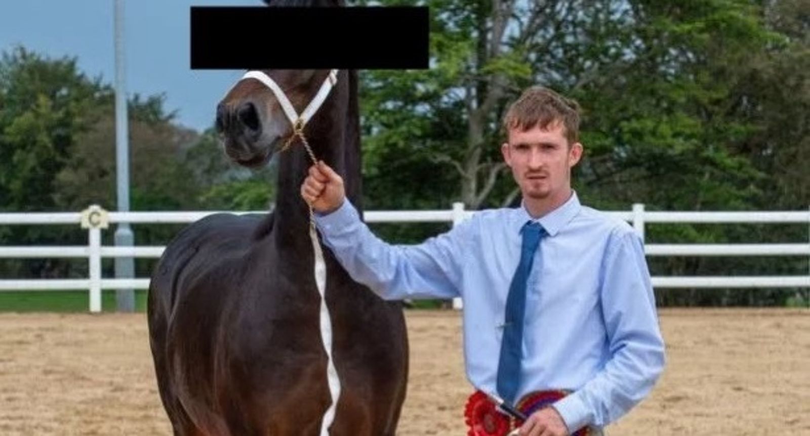 對種馬伸出鹹豬手遭報應「脊椎骨折」　農場主翻出不安影像讓他感情、職涯都沒了