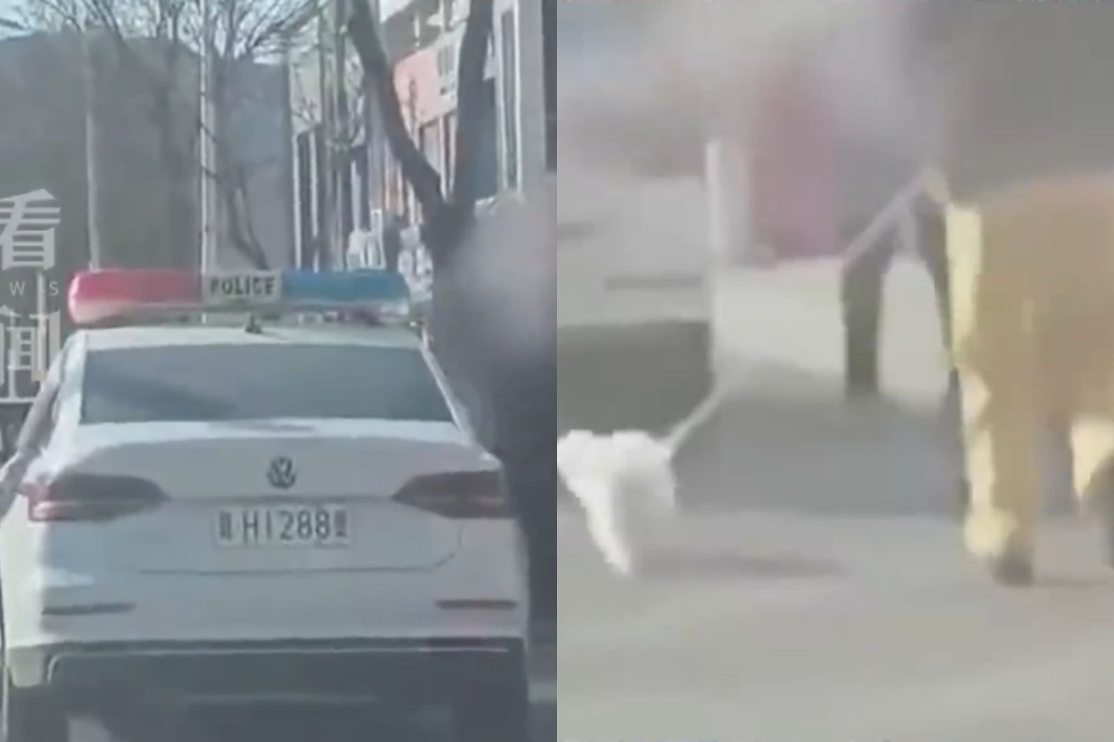 當警察好方便？穿便服開警車「載2女1狗」買水果　民眾怒檢舉下場超慘