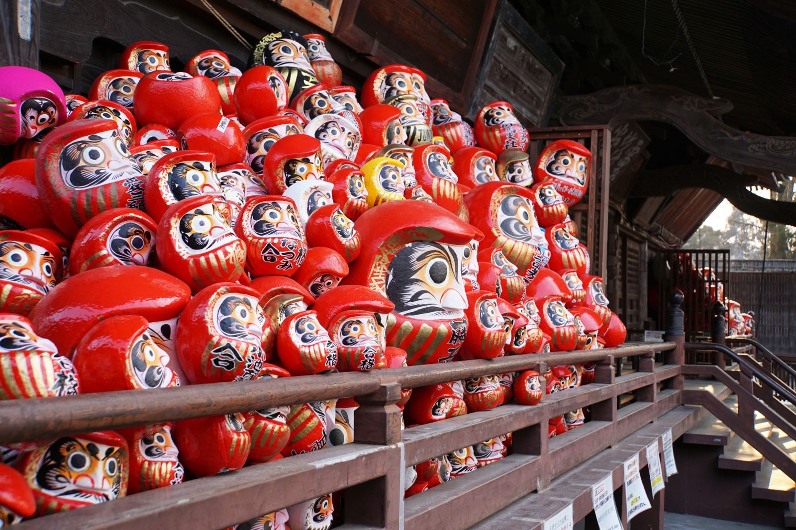 大阪勝尾寺太靈?正妹連2天被「巨無霸達摩追」嚇瘋 內行揭關鍵:神明覺得太無聊