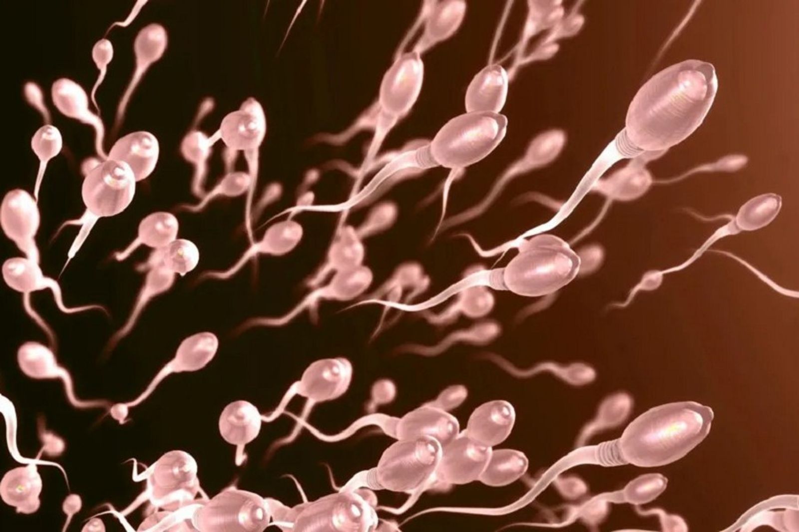 「精力充沛」就在夏天！精子變超速仔　研究：想懷孕趁6-7月