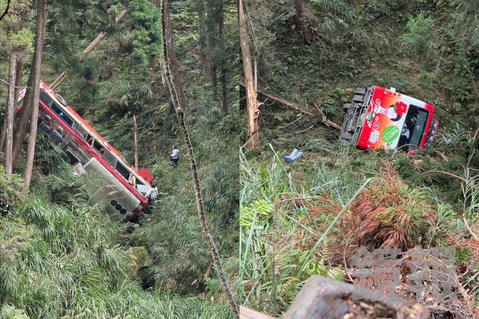 快訊/南投杉林溪森林遊樂區驚傳遊園車墜谷 釀9傷1命危