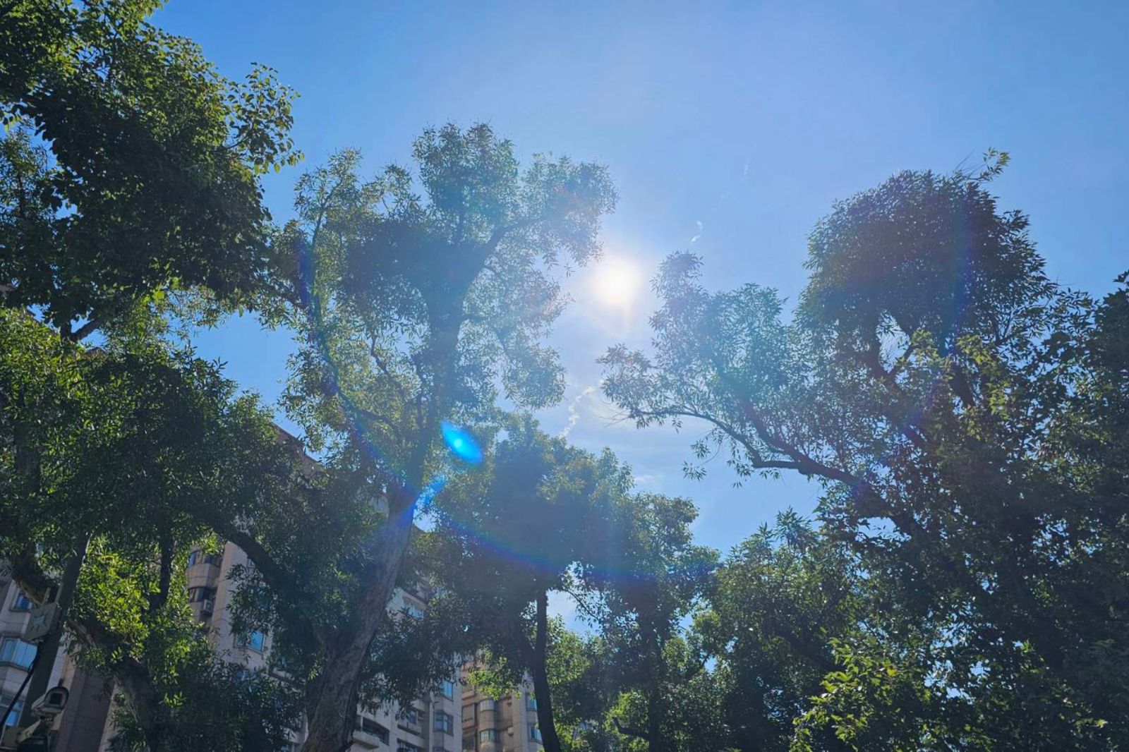 今白天回溫到28度！「這天」再降溫下探13度　氣象專家：最暖的秋天