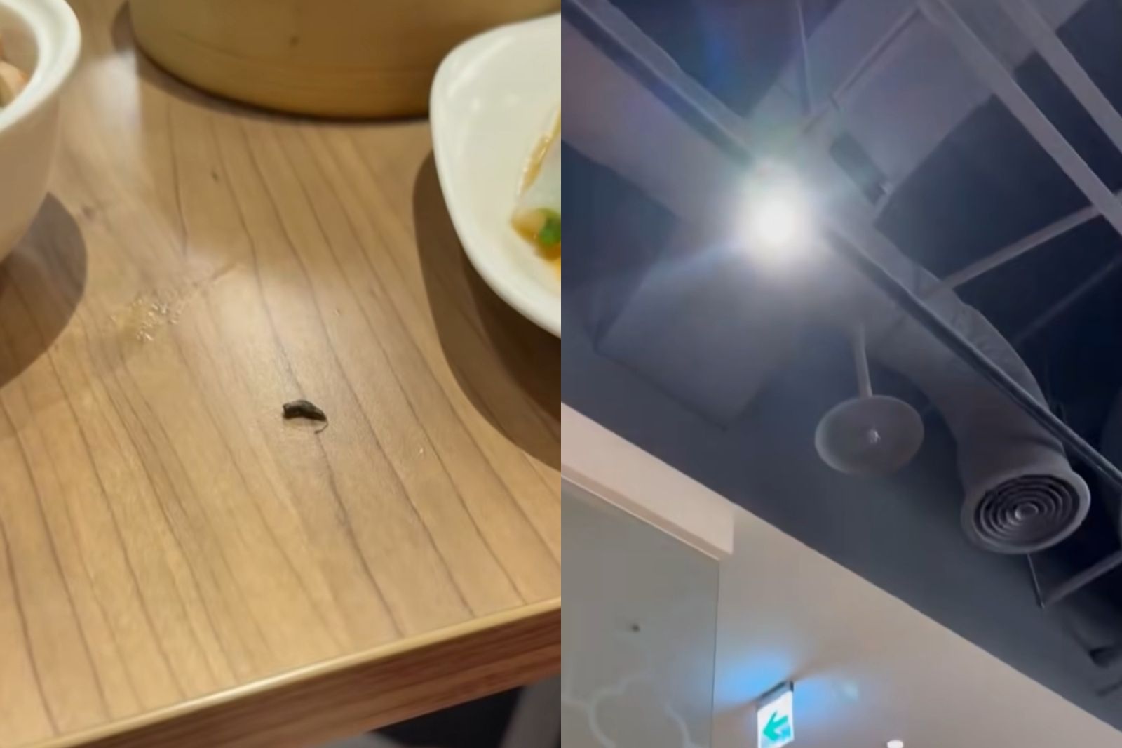 灌湯包吃到一半「老鼠屎從天降」！顧客當場嘔吐　百貨業者回應了