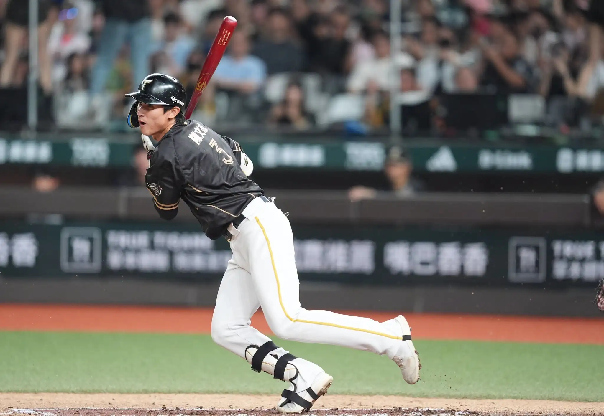 陳文杰猛敲4安!洪一中卻無奈點出台鋼雄鷹老毛病