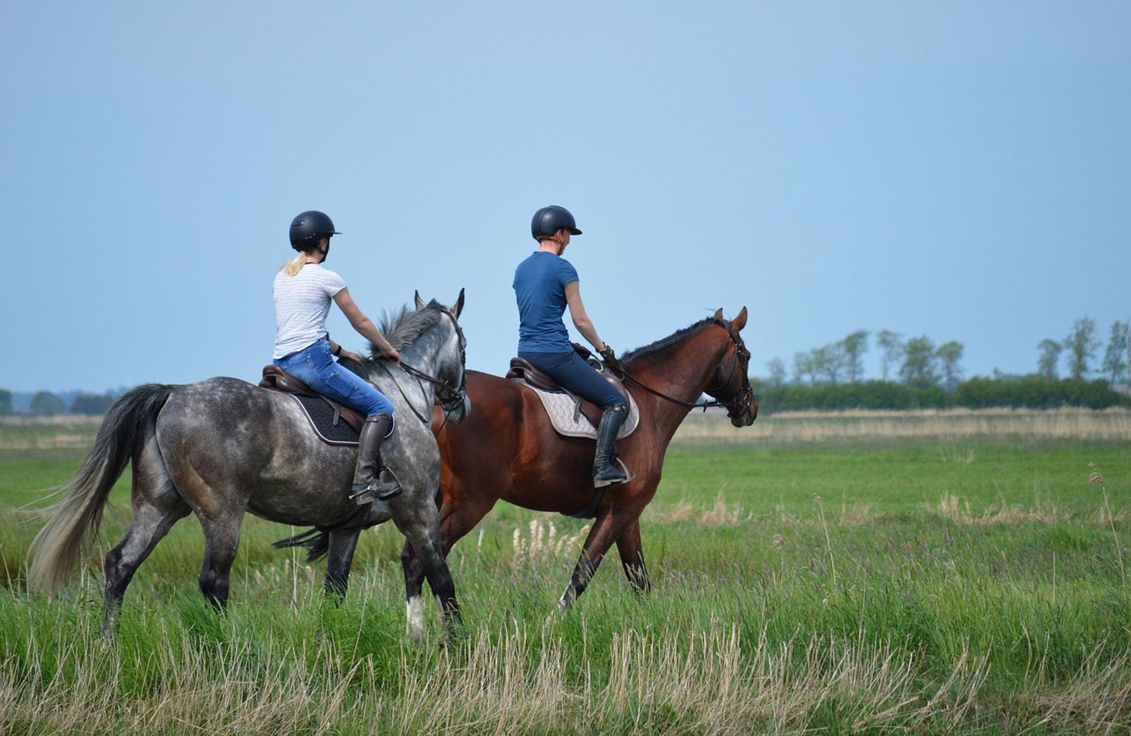 遊客體驗騎馬「反被踢飛2公尺」！隱私部位重傷…他怒告馬場：可能不能再做父親了