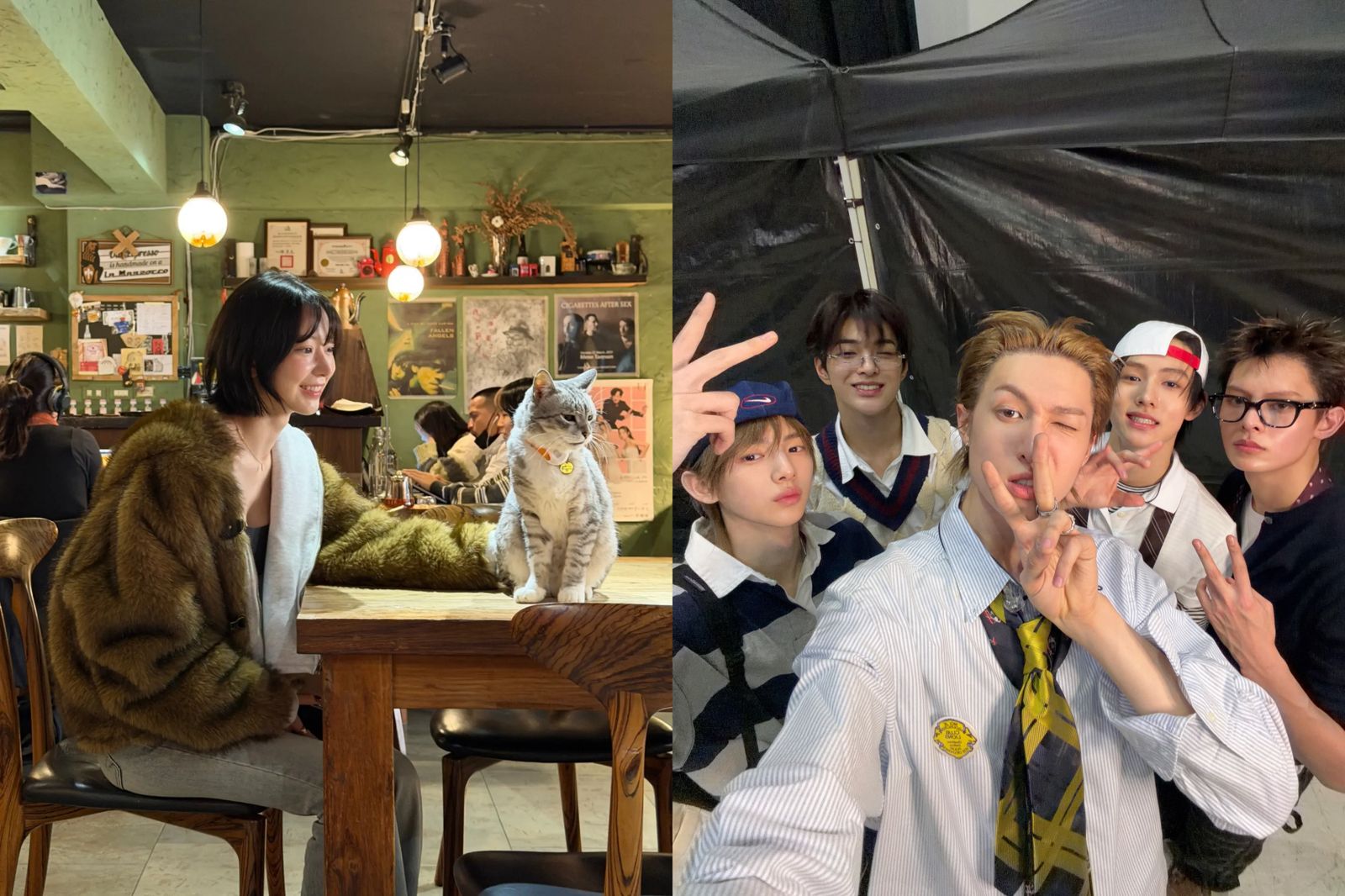 台北好香！韓星趴趴走LE SSERAFIM跑咖擼貓　CORTIS趙雨凡帶路「運動中心」都去了