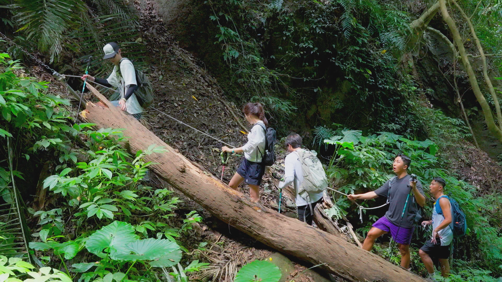 楔隘古道路途艱困，需靠繩索支撐。客家電視提供