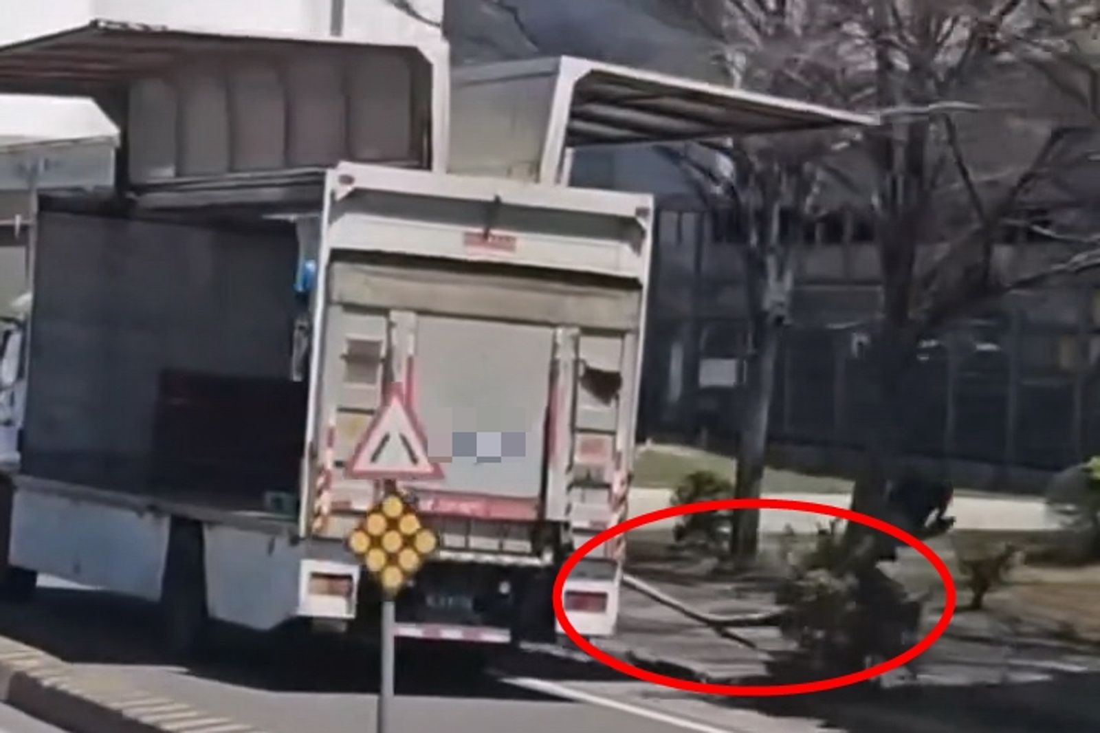 梧棲大貨車變超跑「大鵬展翅」 鷗翼未收掃斷路燈桿