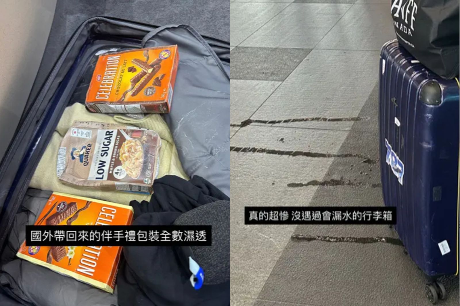 行李箱在滴水！香港轉機回台「10萬精品包被浸壞」慘況曝光…賠償金讓她超傻眼