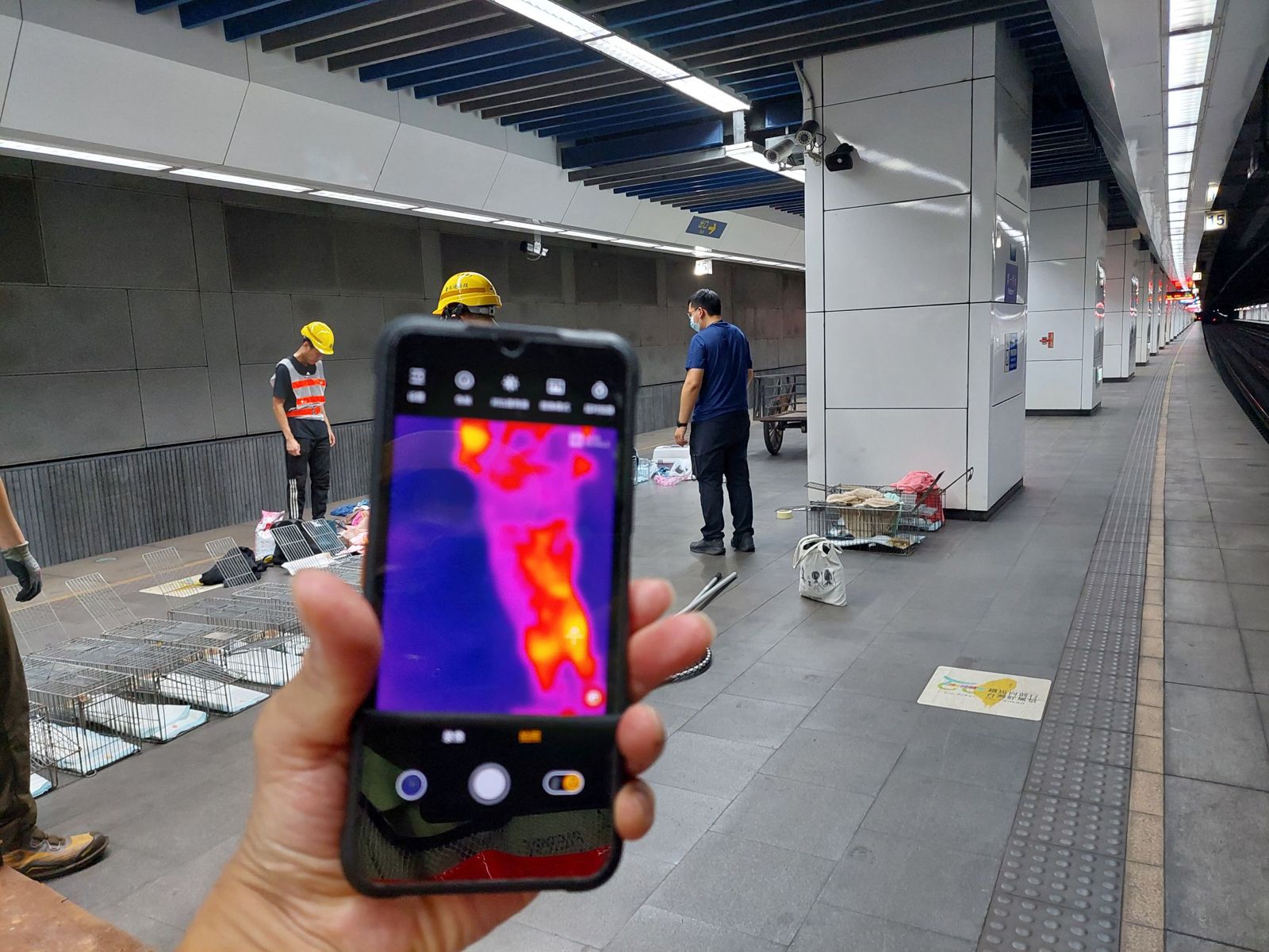 動保處連日尋貓,使用生命熱像儀搜索。動保處提供