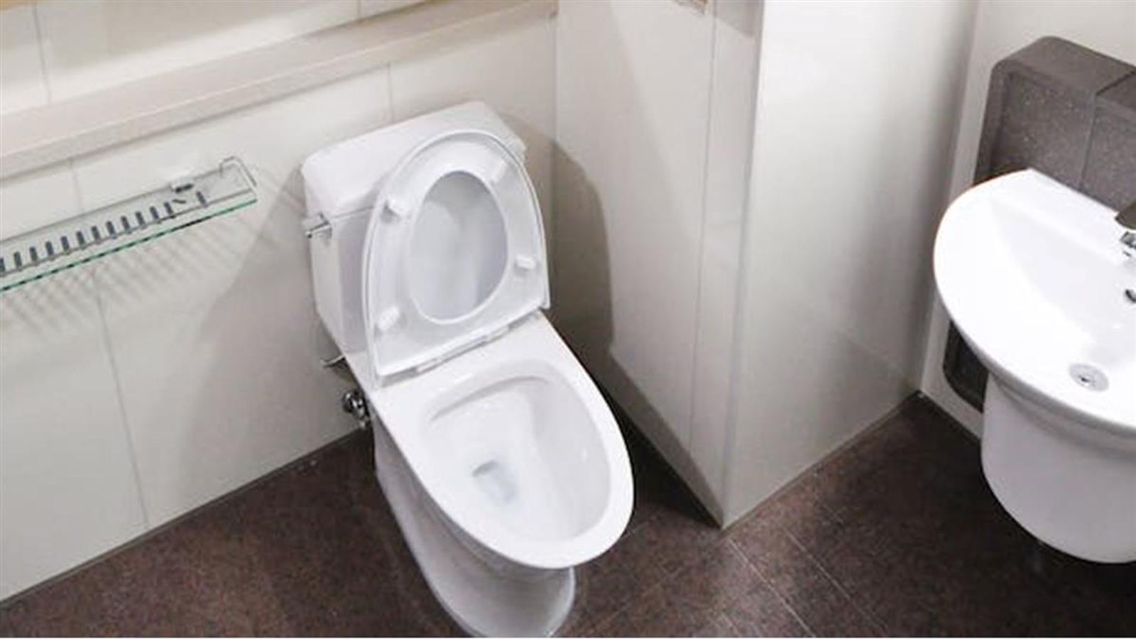 爽吃三天郵輪大餐便秘!他自救一摳「菊花大噴血」 上岸急送醫見最棘手痔瘡