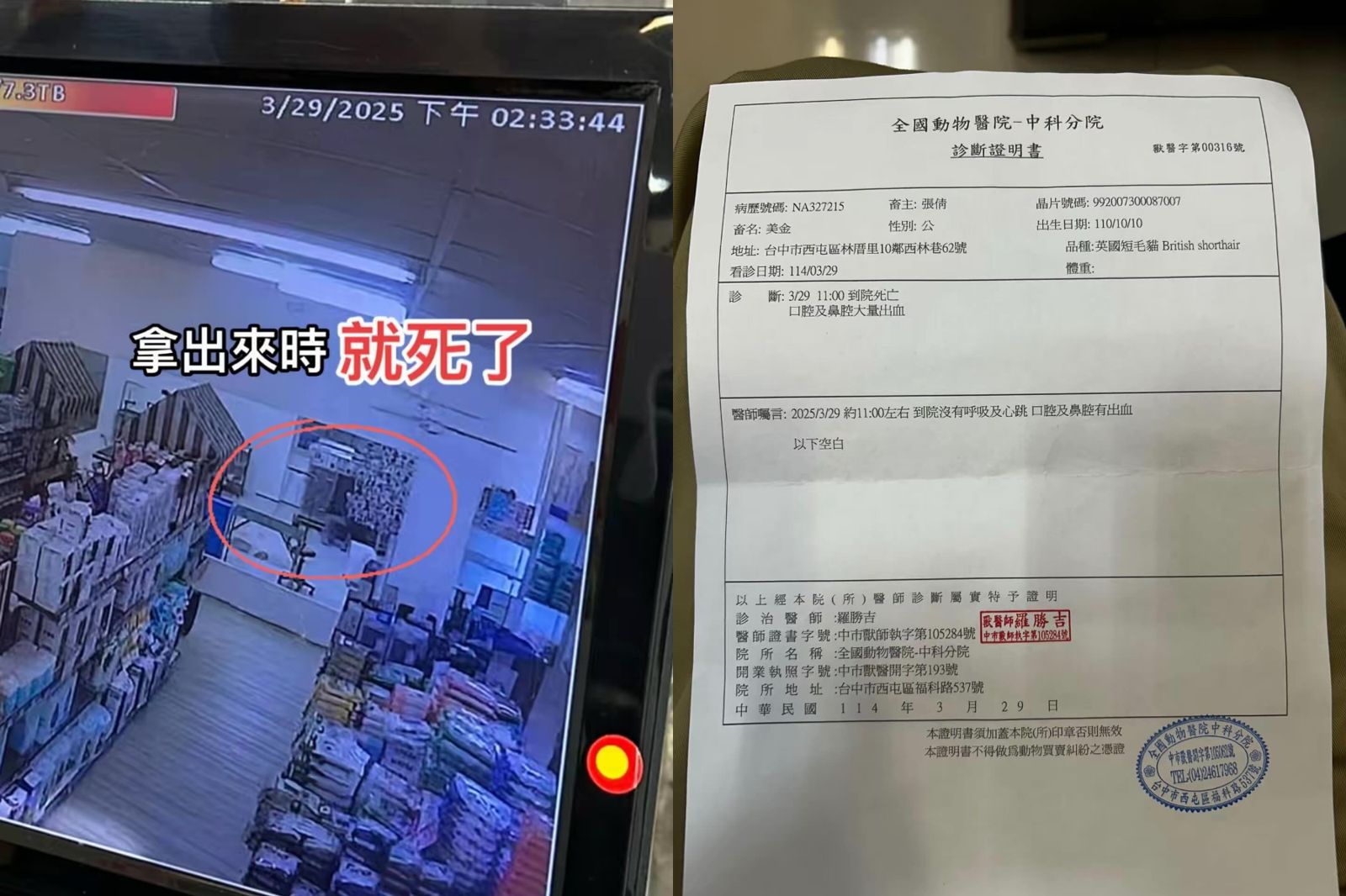 台中一名飼主的愛貓被「活活烤死」，事發後竟發現烘乾機早就壞了，還持續給其他寵物使用。圖／翻攝自Threads @zhangliying900