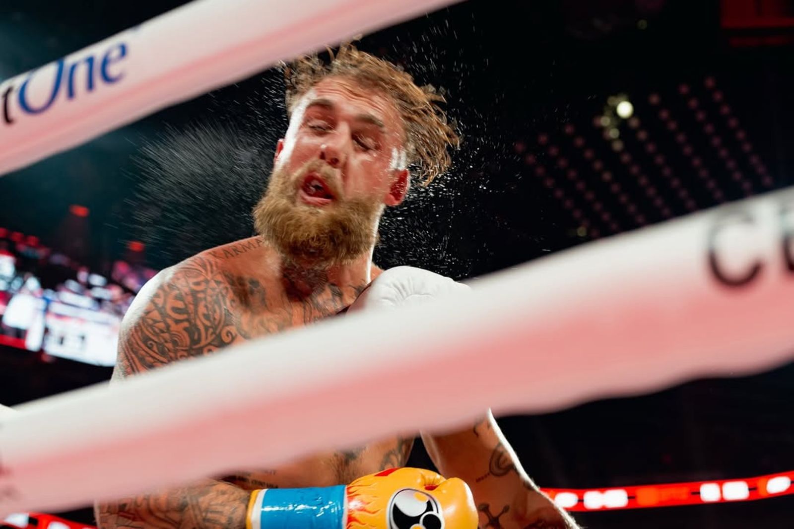 網紅拳手Paul挑戰拳王代價慘重　下巴斷裂牙齒噴飛需休養6週