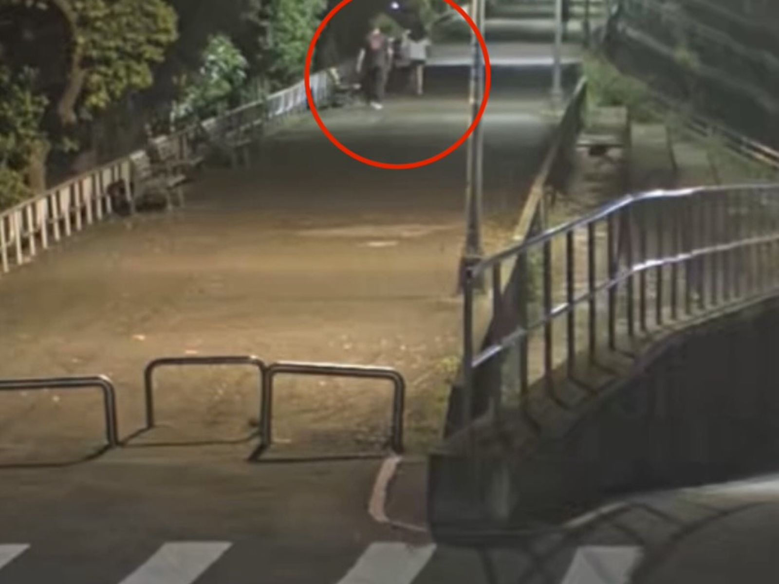 落單女散步變噩夢！士林河堤遭突襲搶手幾　醉男落網竟喊「不記得」