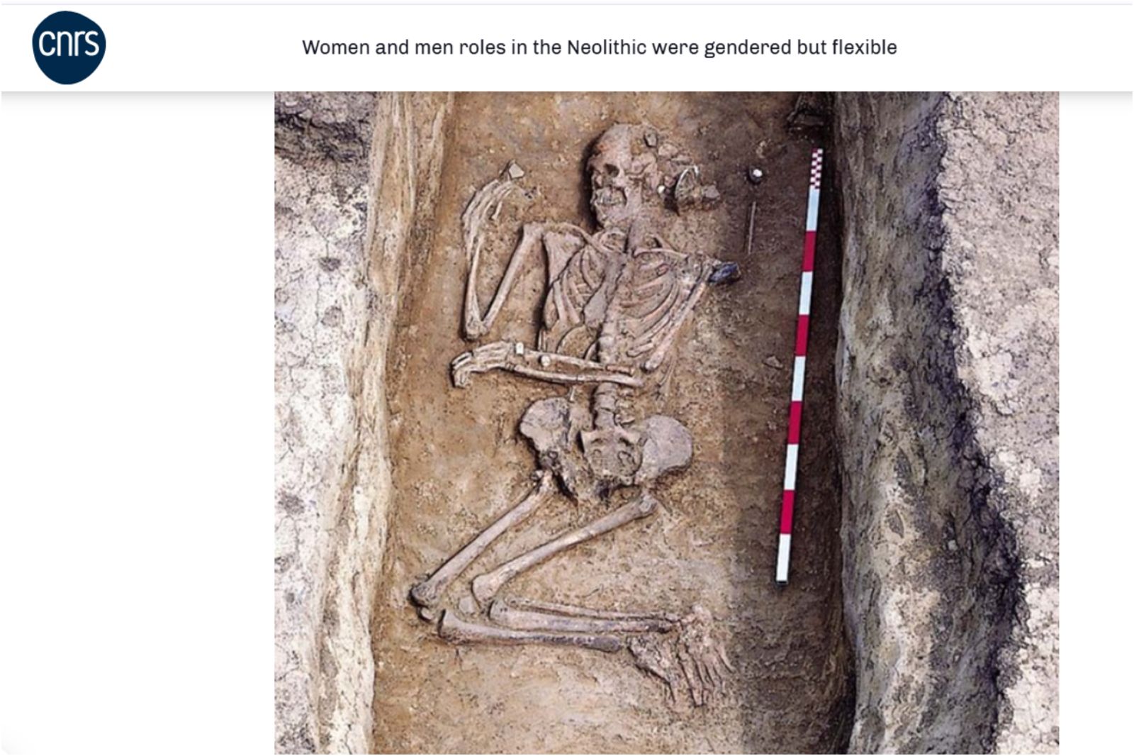 考古學家發現：石器時代就有「跨性別者」　從這點看出來的