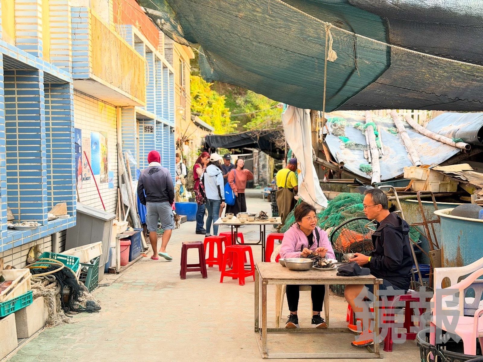 去「西尾半島物產店」會先經過「阿池現吃淡菜」，不妨來盤肥美的淡菜。