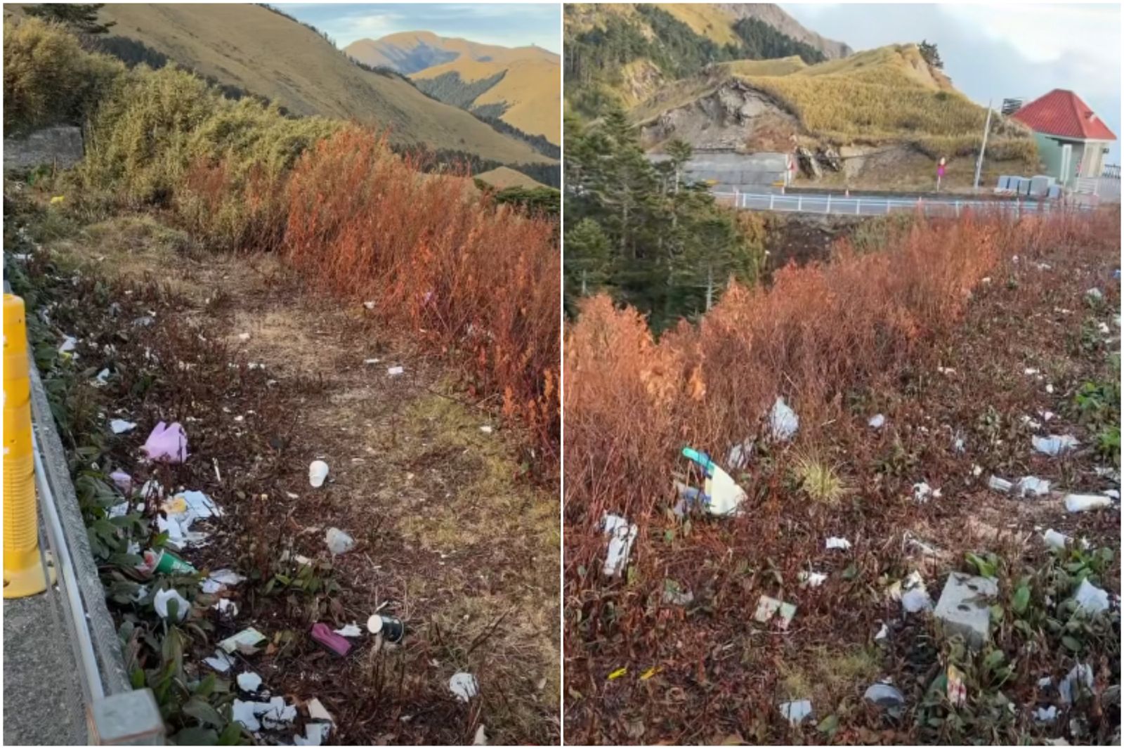 台灣人水準現形？武嶺被丟滿垃圾　民眾見1事嘆：沒火燒山真奇蹟
