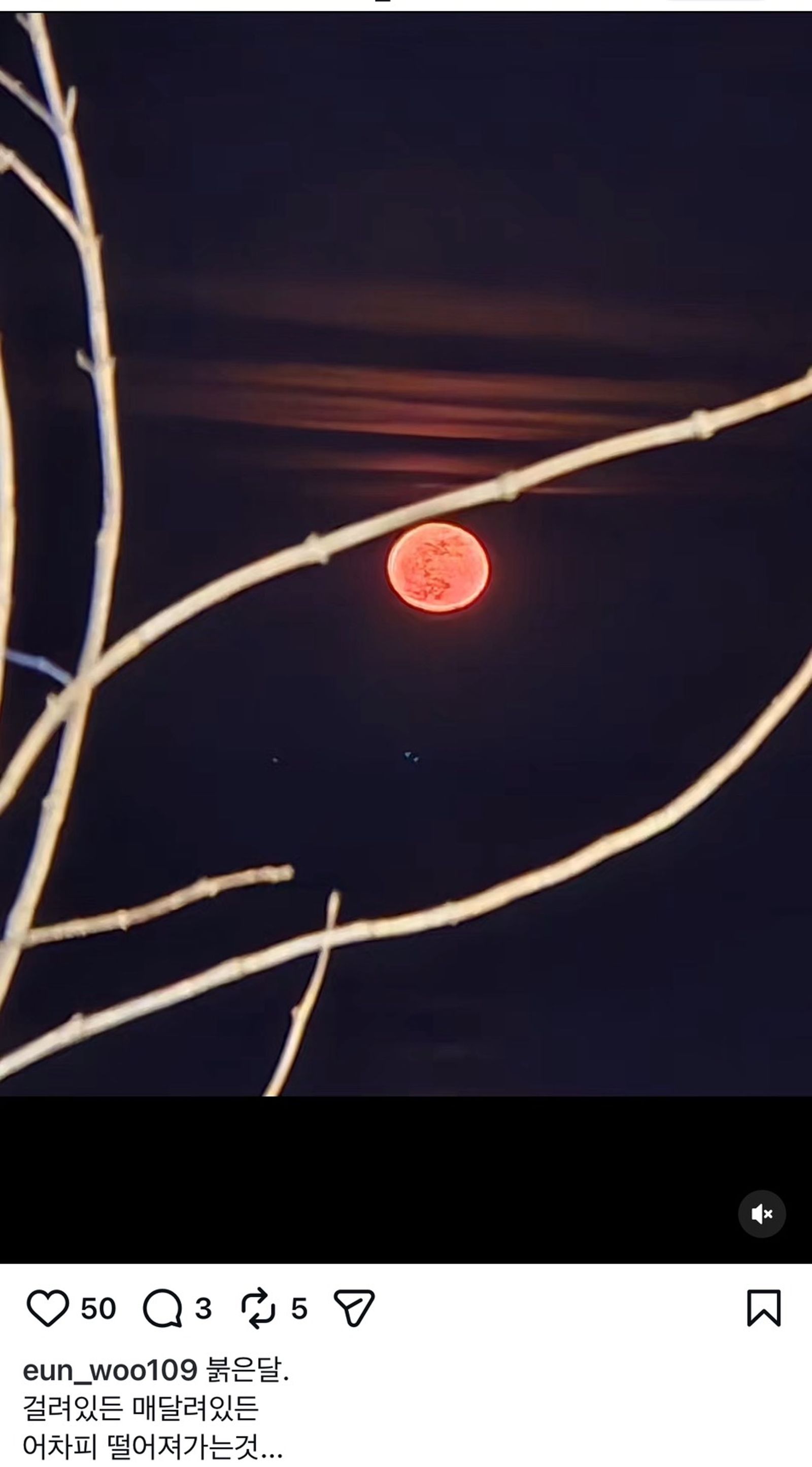 鄭恩宇曬紅色血月照片,仍難掩落寞。翻攝IG@eun_woo109