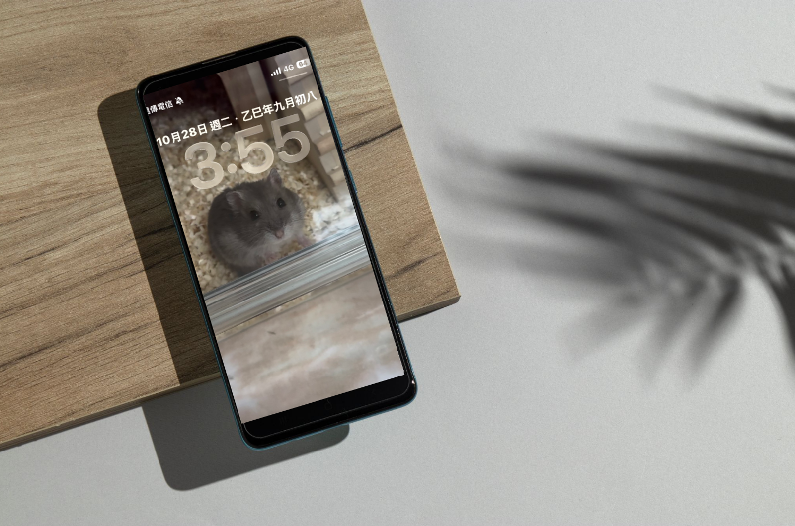 「手機桌布」直接影響財運！命理師警告：3種照片千萬別放