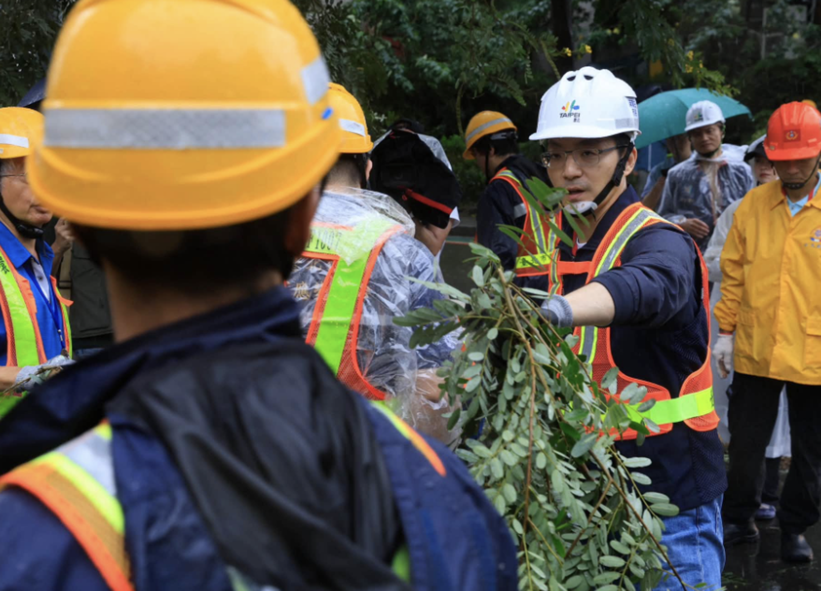 台北市長蔣萬安在颱風天勘災體驗搬樹枝,遭大批網友怒批作秀。圖/翻攝自蔣萬安臉書