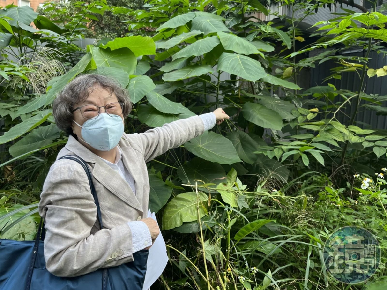 國民飲料「蘋果西打」遭掏空8億 前女總孫幼英不認罪更一審判9年2月