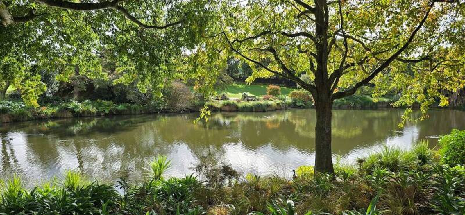 紐西蘭奧克蘭植物園展示來自全球各地超過10,000種植物，規劃了20多個主題園區。圖片由作者提供
