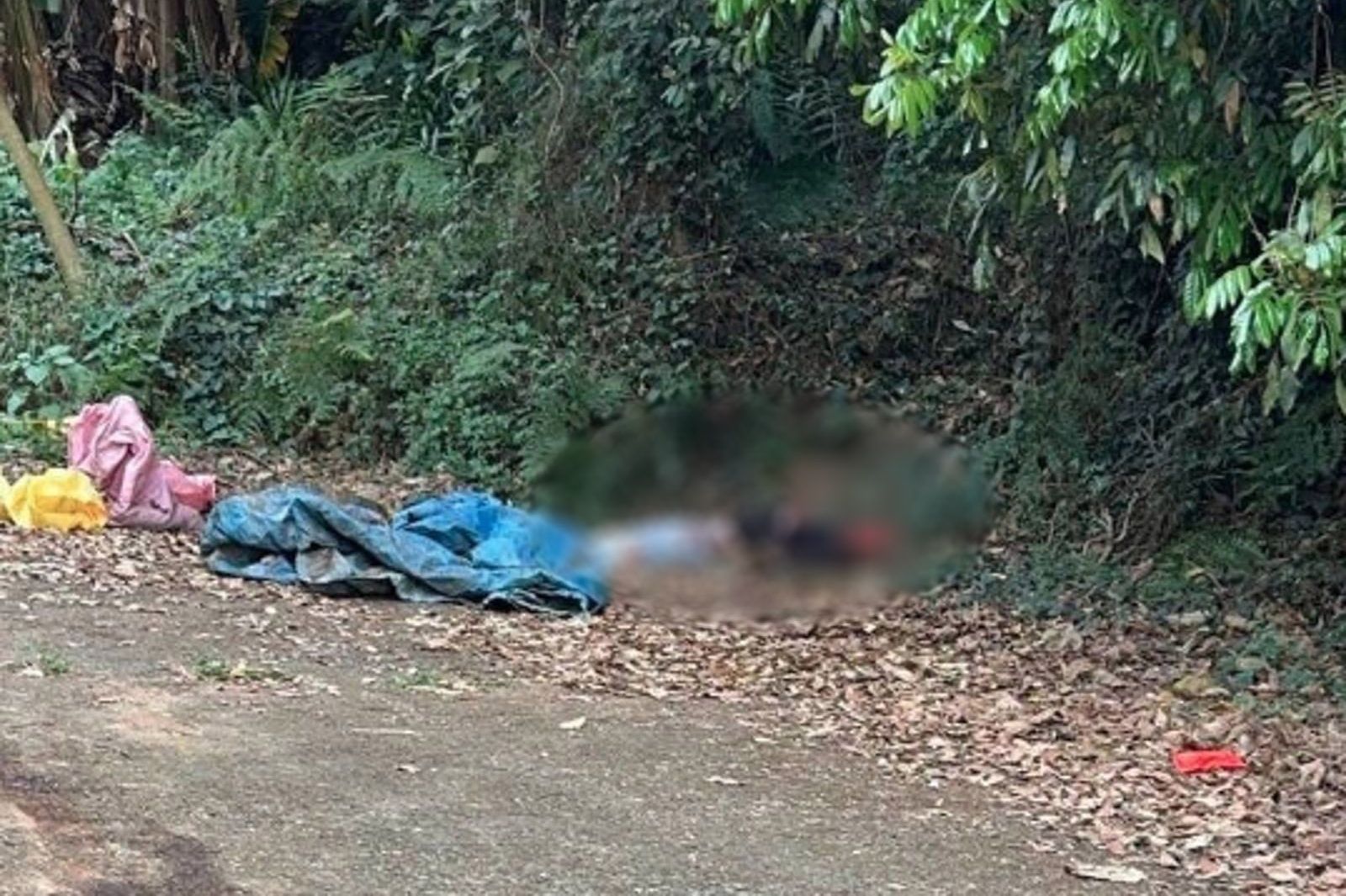 彰化百果山凶狠虐殺「挖眼削臉」!2嫌互推責任求交保 法官揭關鍵疑點延押2月